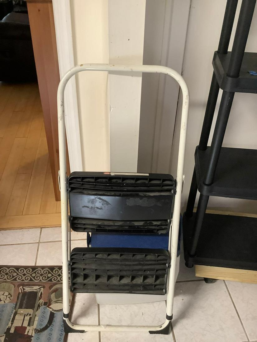 Cosco Metal Step Ladder (1 of 1)
