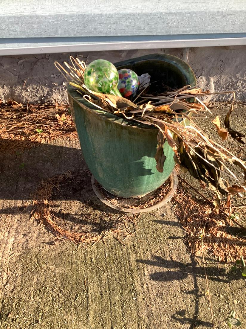 Planter with watering globe (1 of 1)