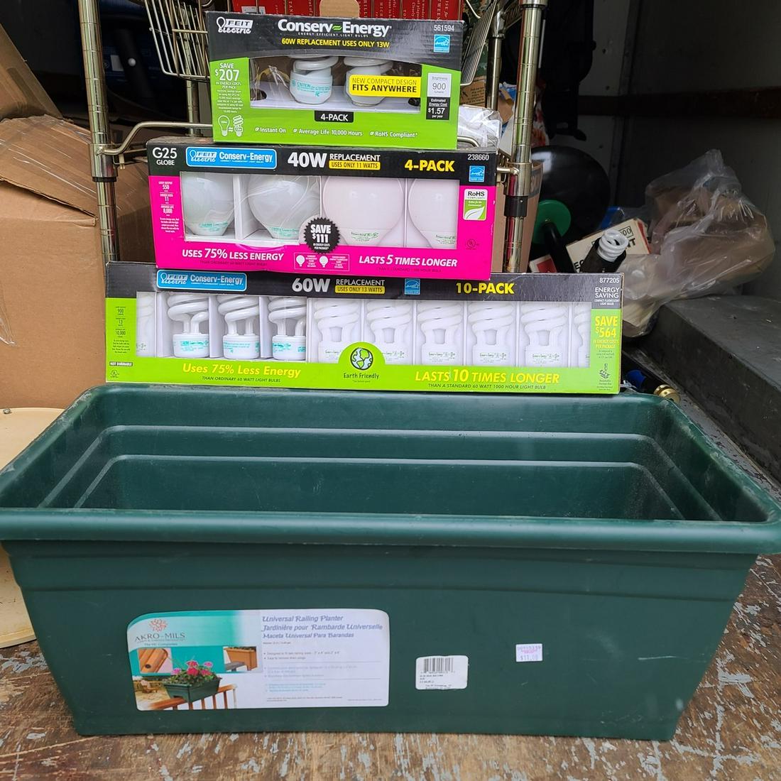 New Light Bulbs and Planter (1 of 1)