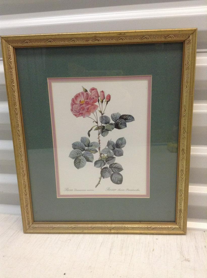 Framed Rose Print 15.25"x13.25" (1 of 1)
