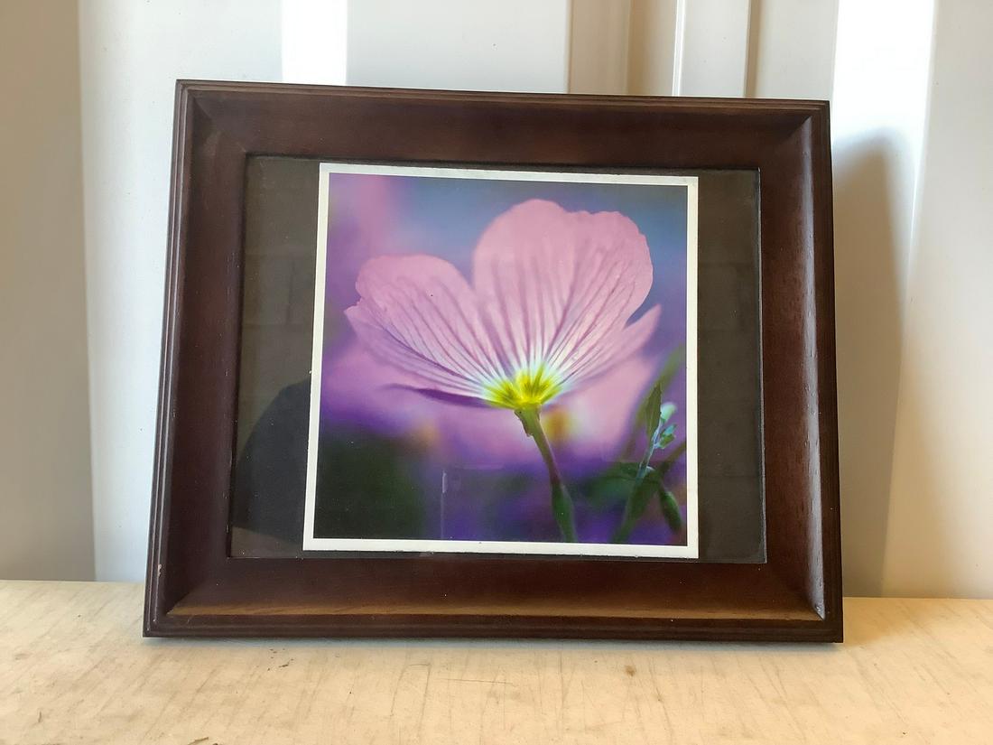 Peter Lik Print in Colors 9x10.5 (1 of 1)