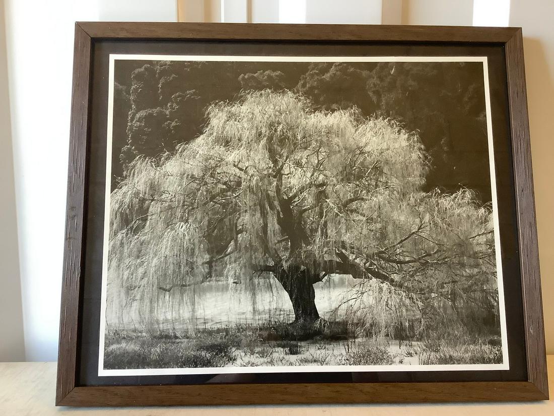 Piet Mondrian Lithograph on Wove Paper 39x27 (1 of 1)