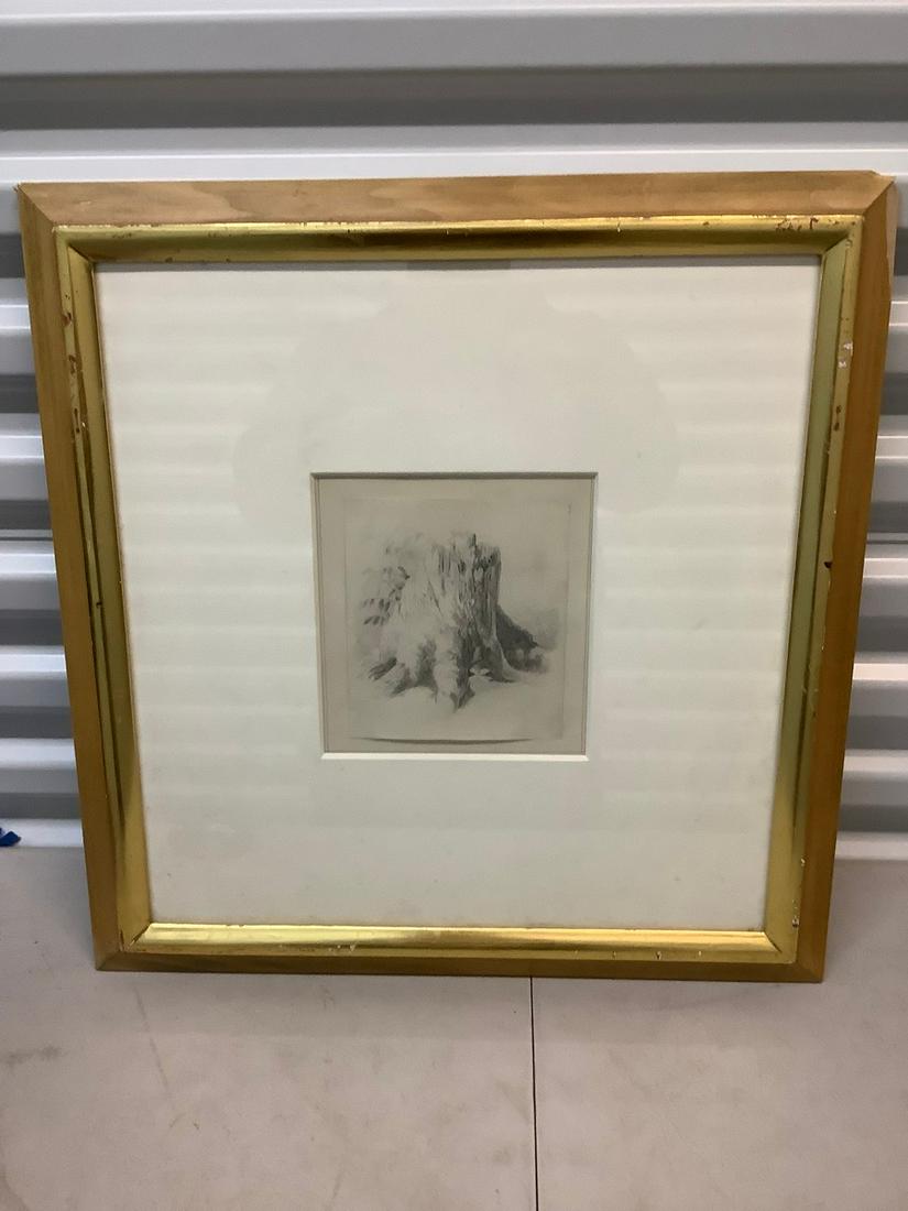 Framed pencil sketch tree stump 20x20 (1 of 1)