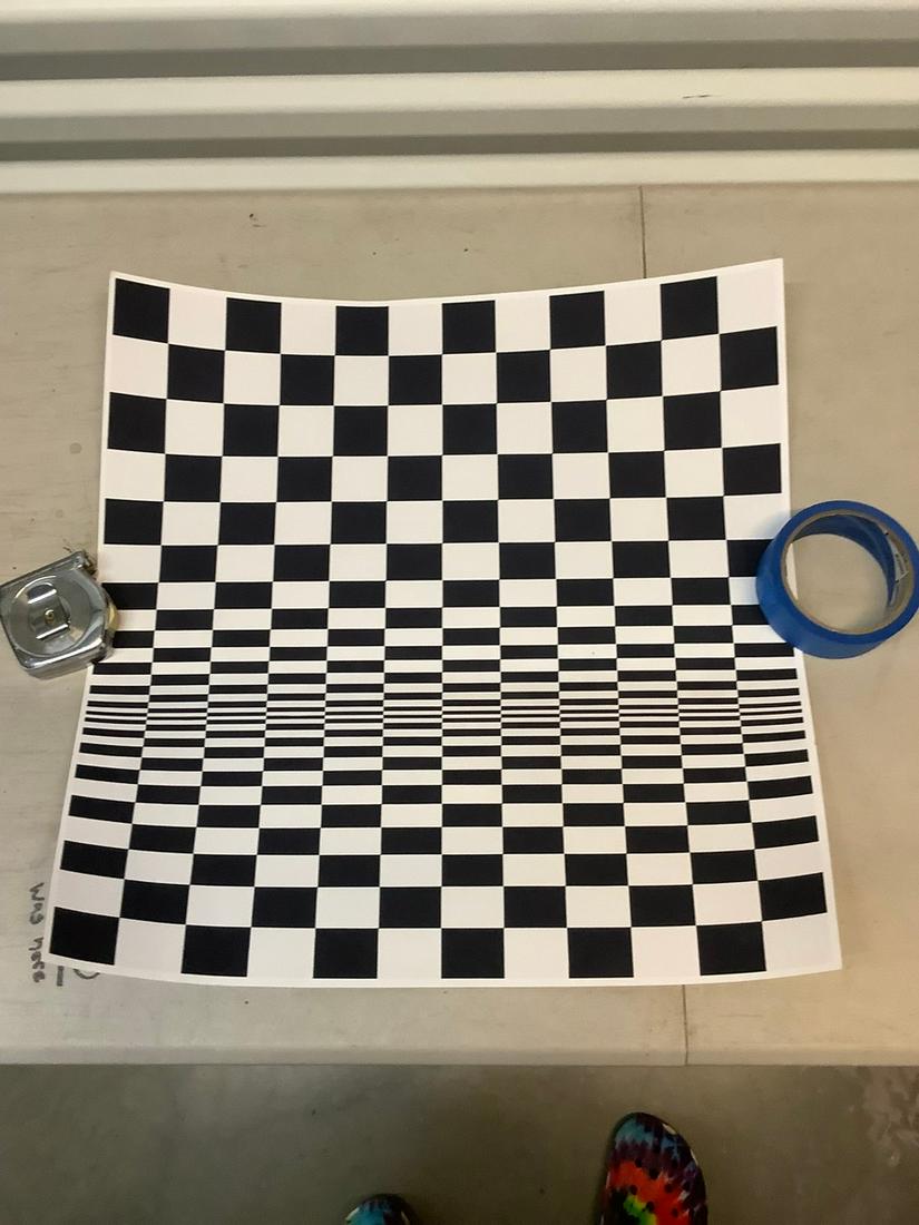 Bridget RIley litho 18x18: Bridget RIley litho 18x18