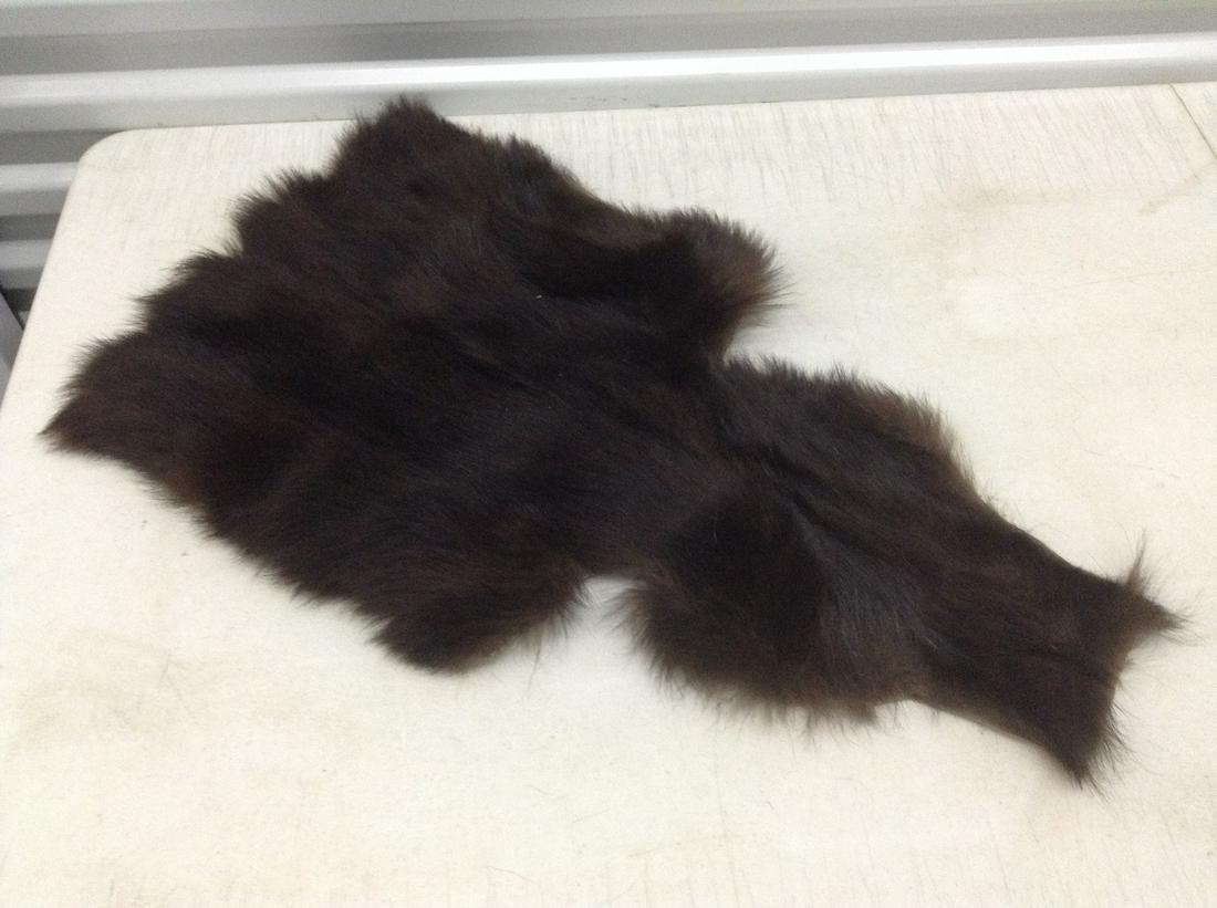 Real Animal Pelt 25" long (1 of 1)