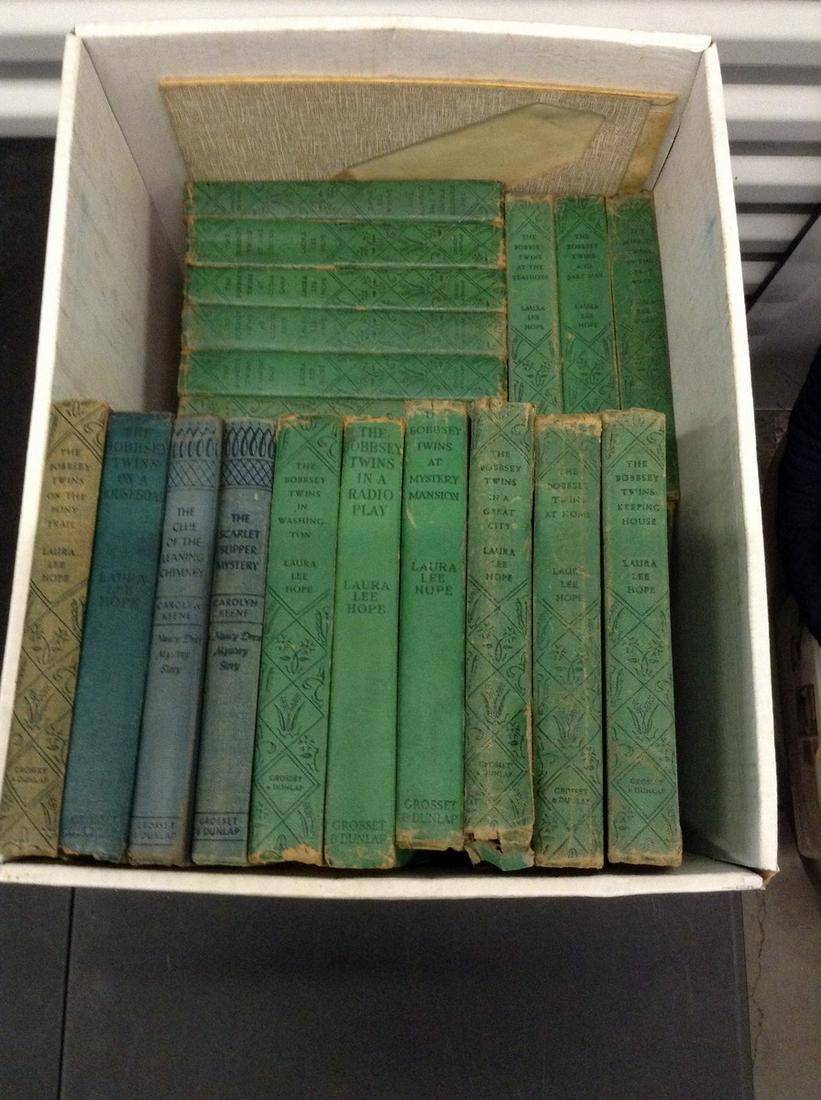 The Bobbsey Twins in Washington Laura Lee Hope (1 of 1)