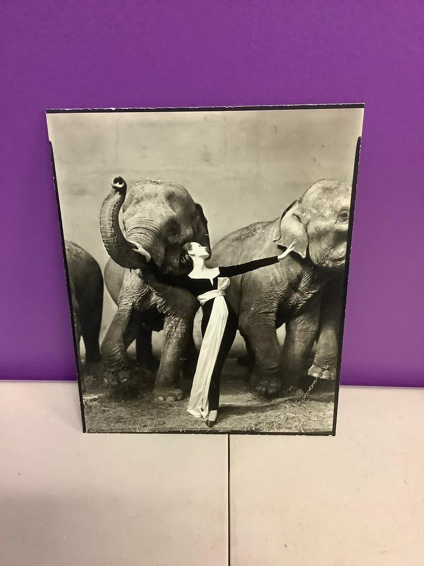 Richard Avedon photo print 8x10 (1 of 1)