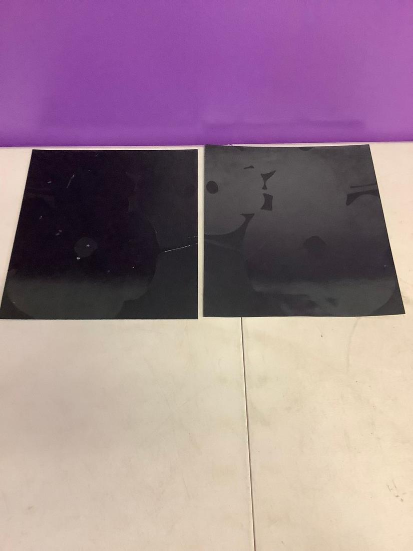 Donald Sultan lithograph embossed lot of 2 10x9 (1 of 1)