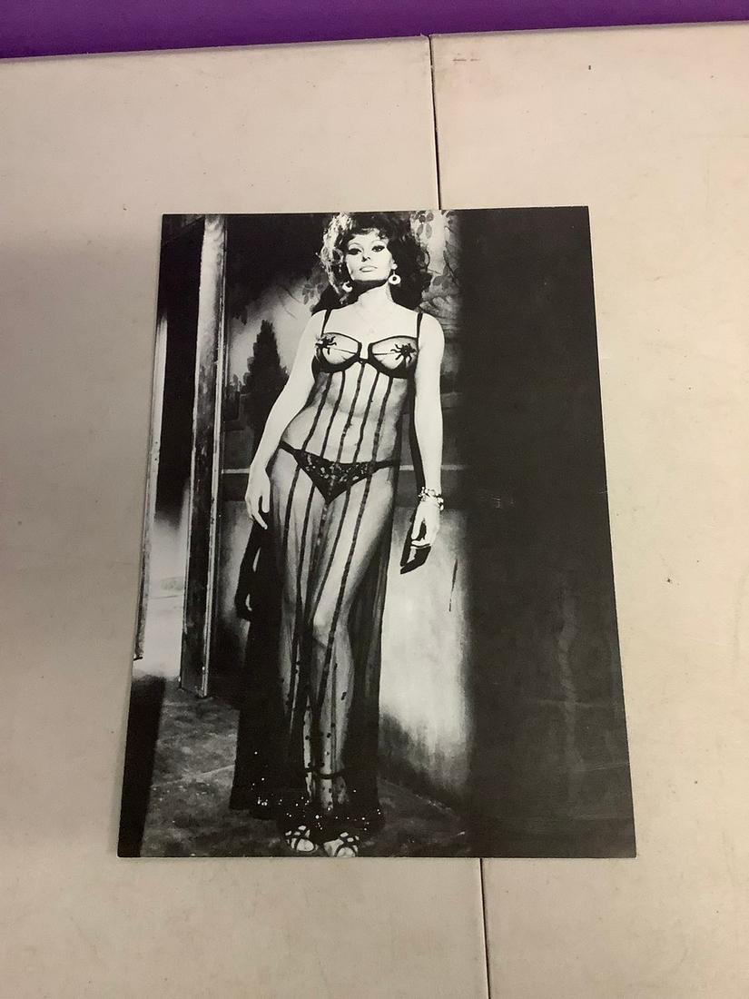 photo litho print of sophia loren 12x9: photo litho print of sophia loren 12x9