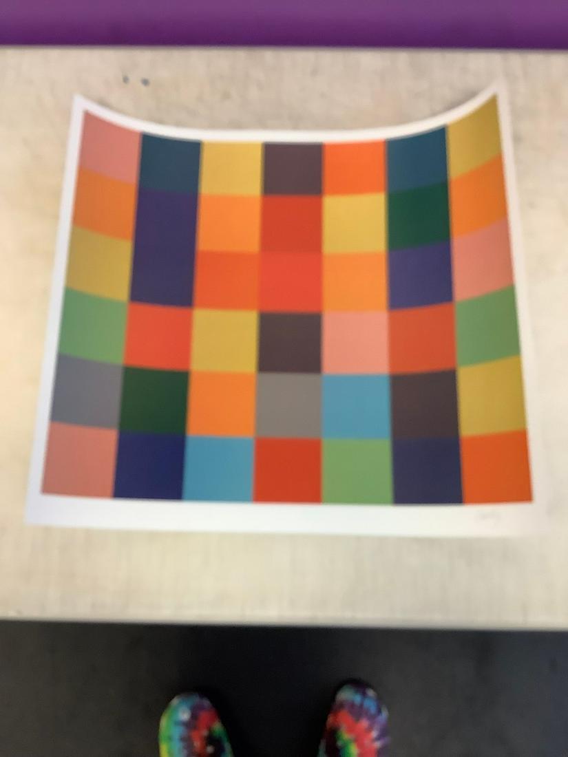 Ellsworth Kelly signed lithograph 23x21 (1 of 1)