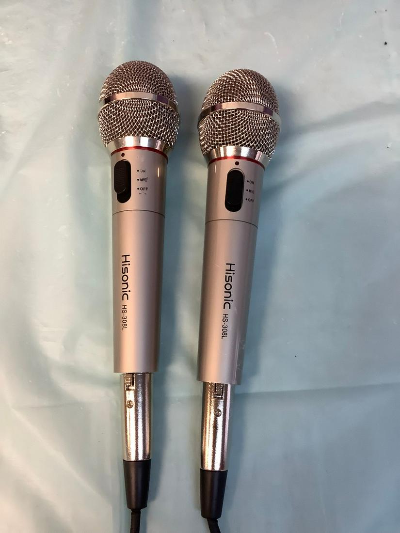 Pair of Hisonic HS-308L Microphones: Pair of Hisonic HS-308L Microphones