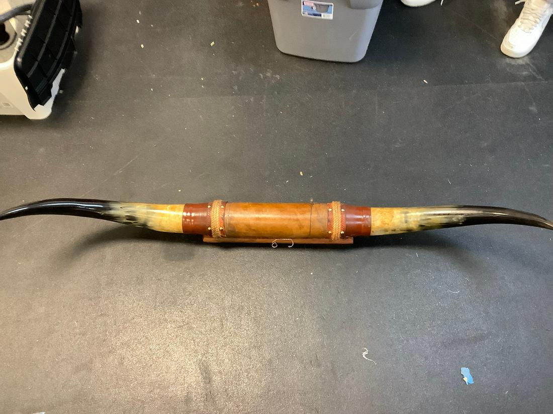 Texas longhorn mounted on board 56 inches long (1 of 1)