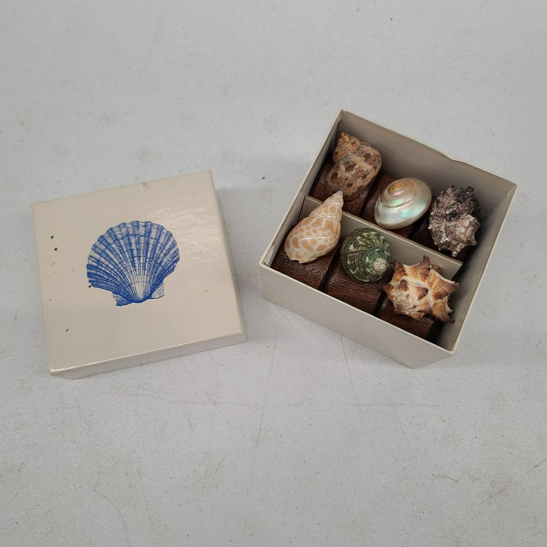 Vintage Wood and Shell Napkin Holders: Vintage Wood and Shell Napkin Holders