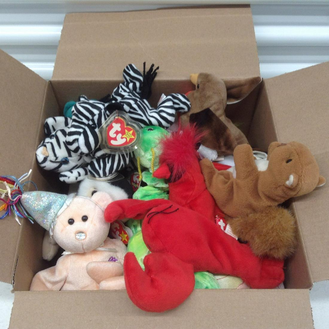 Box of Beanie Babies: Box of Beanie Babies