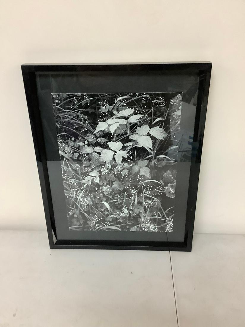 Ansel Adams photo print 12x15 (1 of 1)
