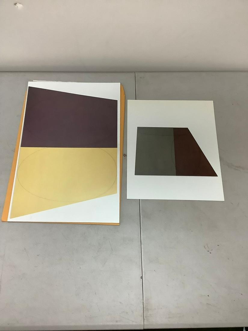 Robert Mangold lot of 2 offset lithos (1 of 1)