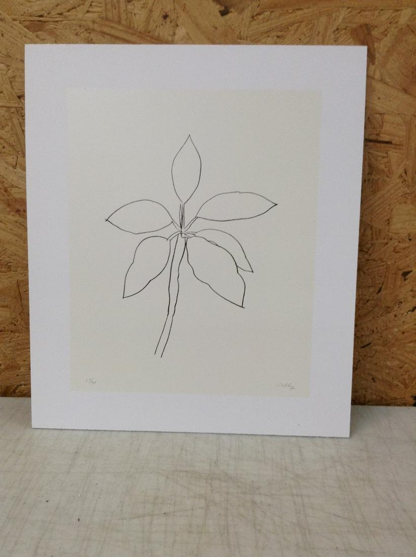 Ellsworth Kelly Print in Colors 11X9.5" (1 of 1)