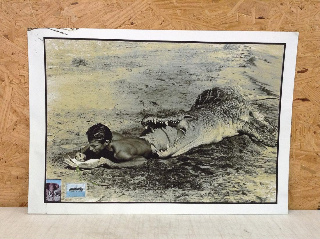 Peter Beard Print in Colors 19.75x13.75" (1 of 1)