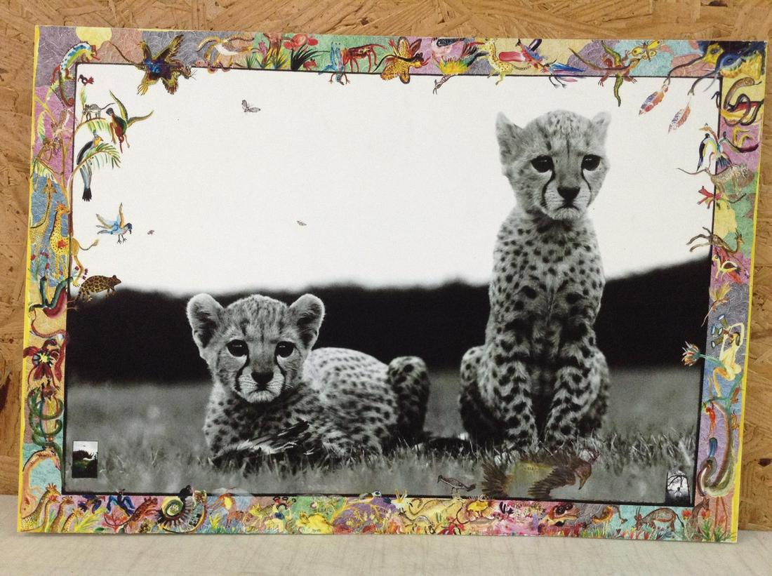 Peter Beard Print in Colors 19.75x13.75" (1 of 2)