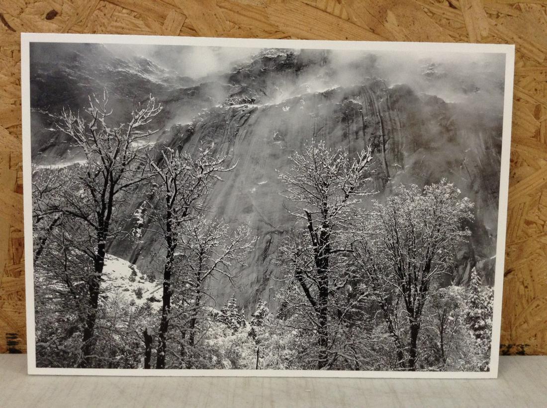 Ansel Adams "Trees and Cliffs of Eagle Peak, Winter, Yosemite Valley c. 1935" Print in Colors (1 of 1)