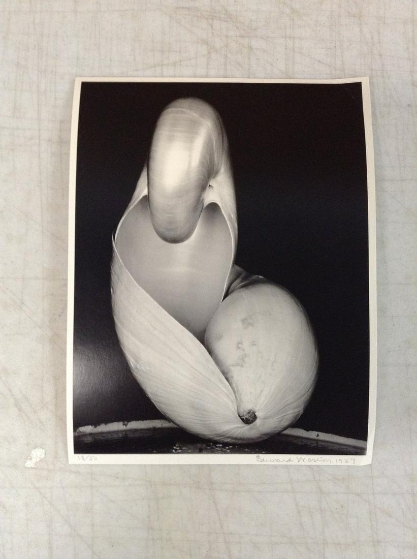 Edward Weston "Shells" Lithograph 10.5x8" (1 of 1)