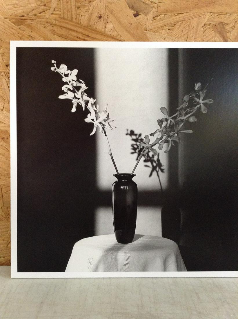 Robert Mapplethorpe Print in Colors 10.75x10.75" (1 of 1)