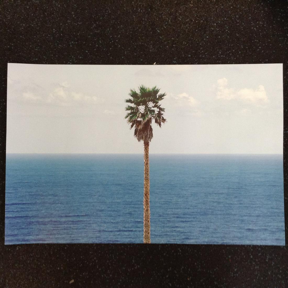John Baldessari Litho 25.5x16.5": John Baldessari Litho 25.5x16.5"
