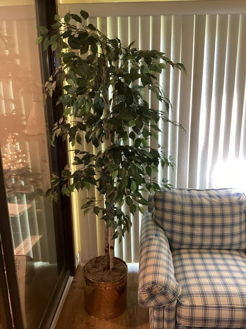 Faux Tree in Brass Planter 78" tall (1 of 1)