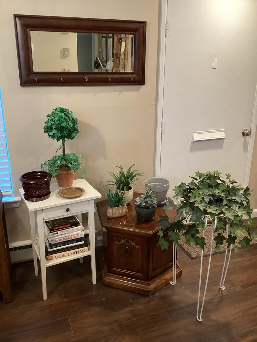Contents of Corner - Mirror w/ Hooks, Faux Succulents, Two Tables, Plant Stand & More (1 of 1)