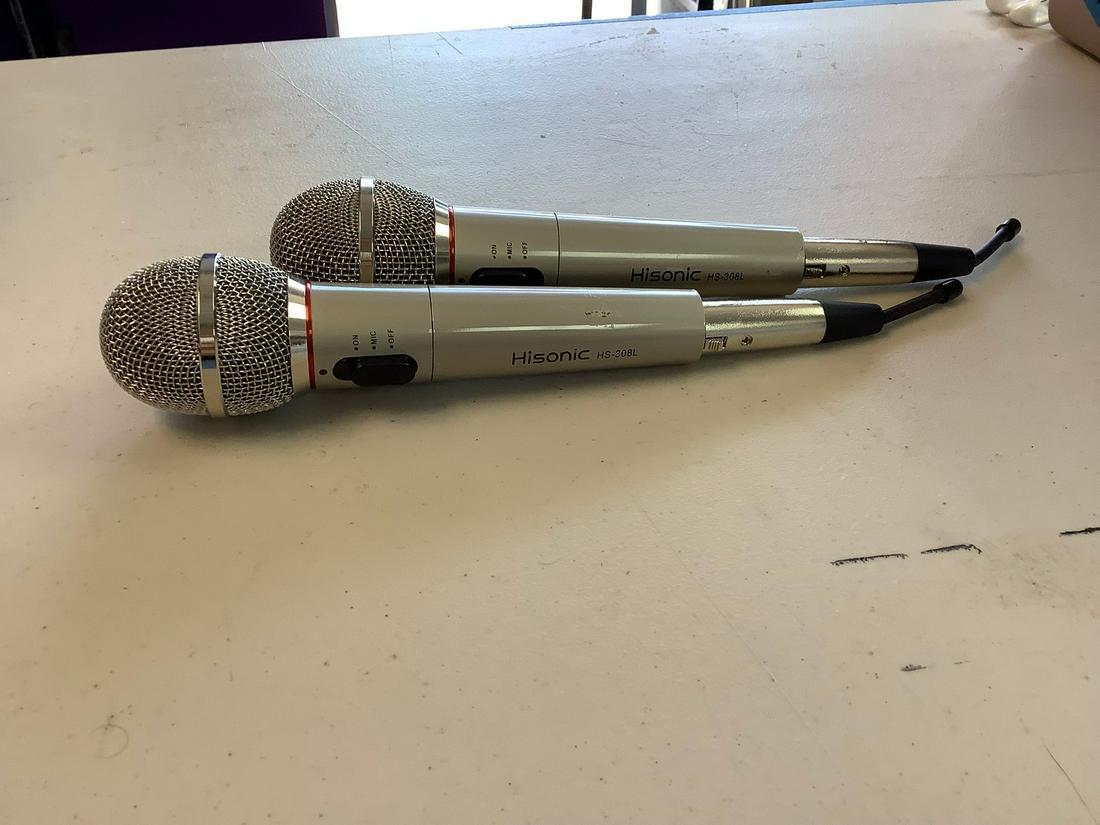 Pair of Hisonic microphones: Pair of Hisonic microphones