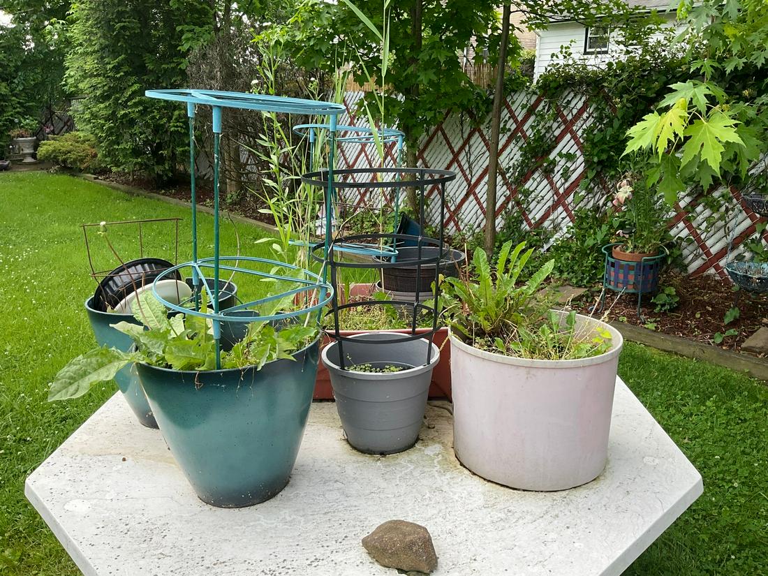 Lot of various Ceramic Pots: Lot of various Ceramic Pots