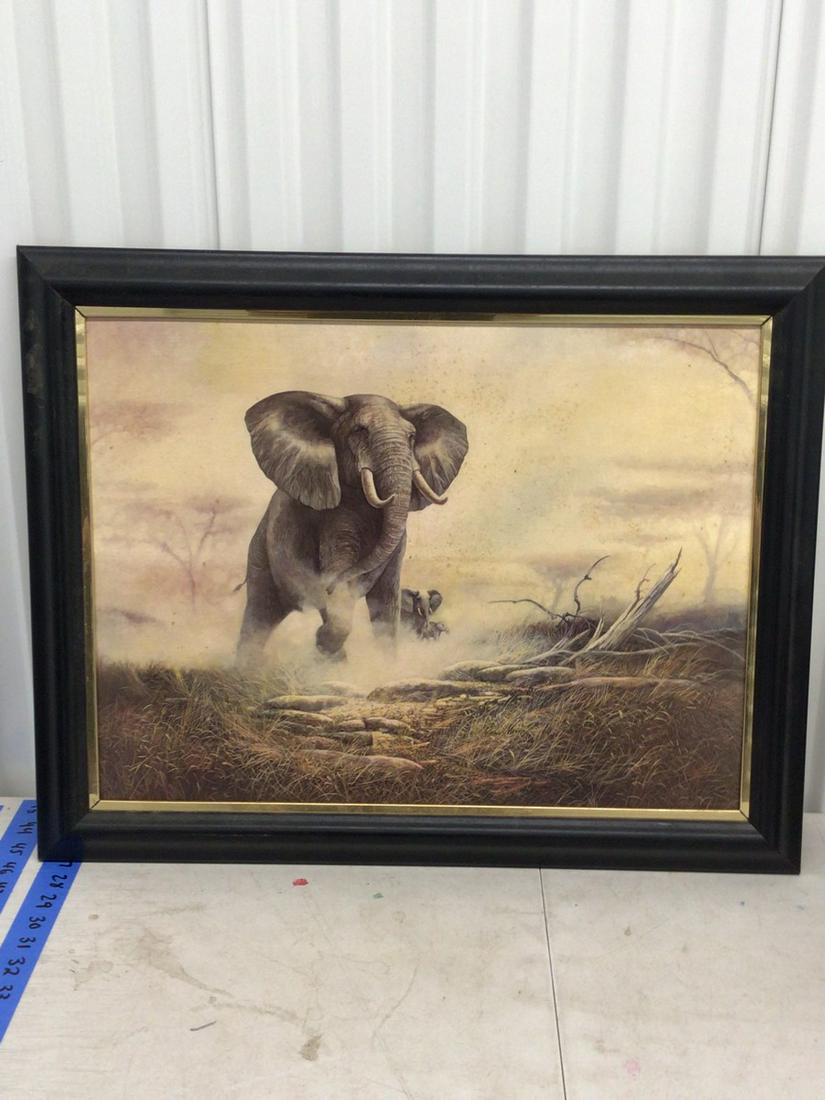 Framed Elephant Print (1 of 1)
