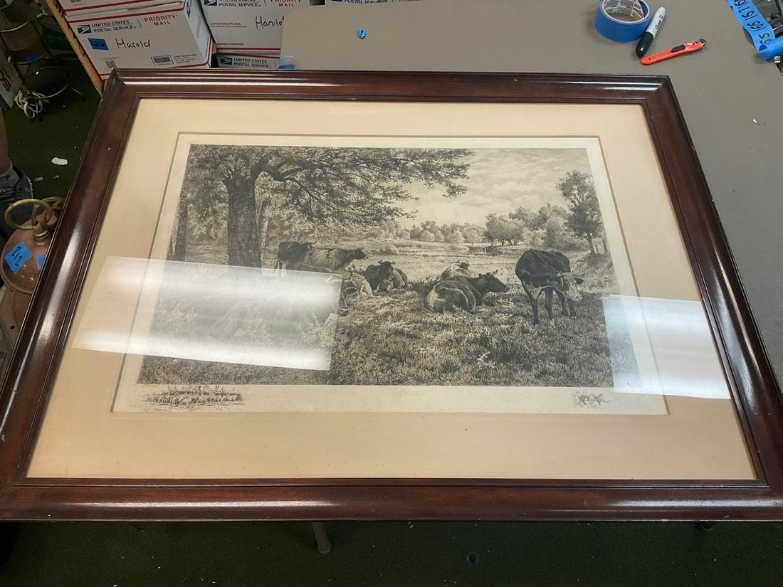 Framed print of cattle (black and white) (1 of 1)