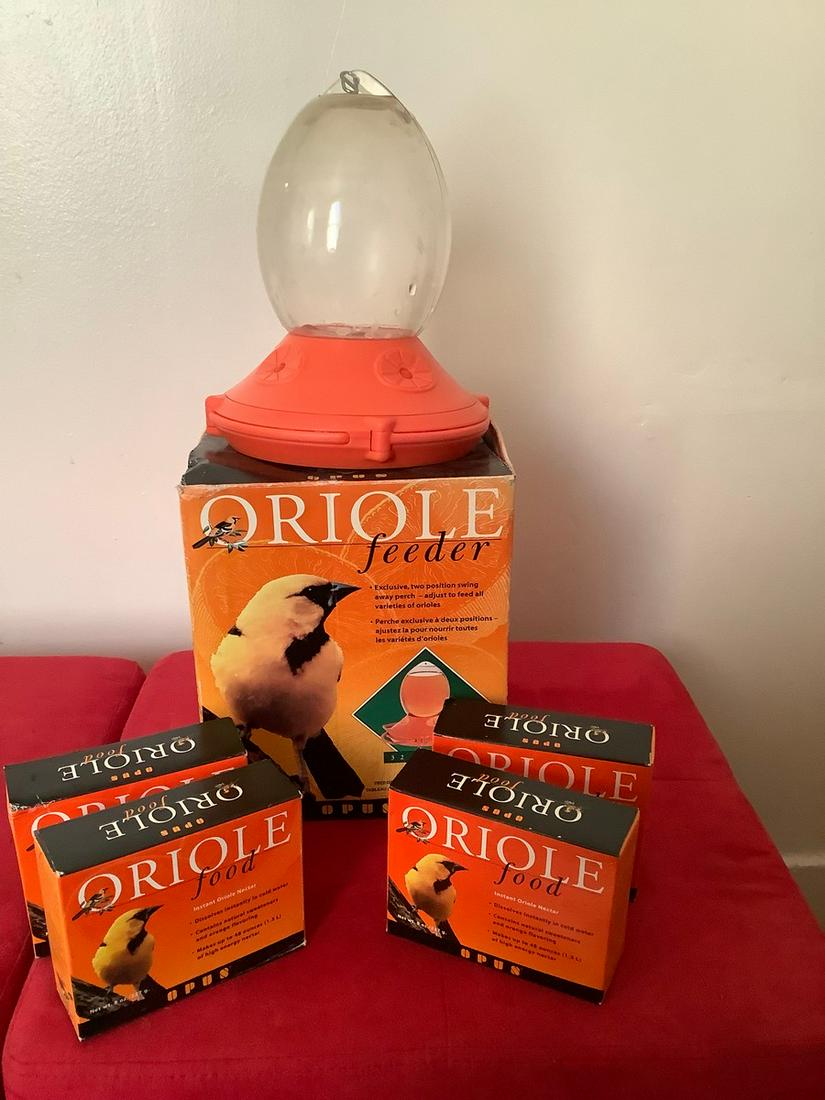 Oriole Bird Feeder with food: Oriole Bird Feeder with food