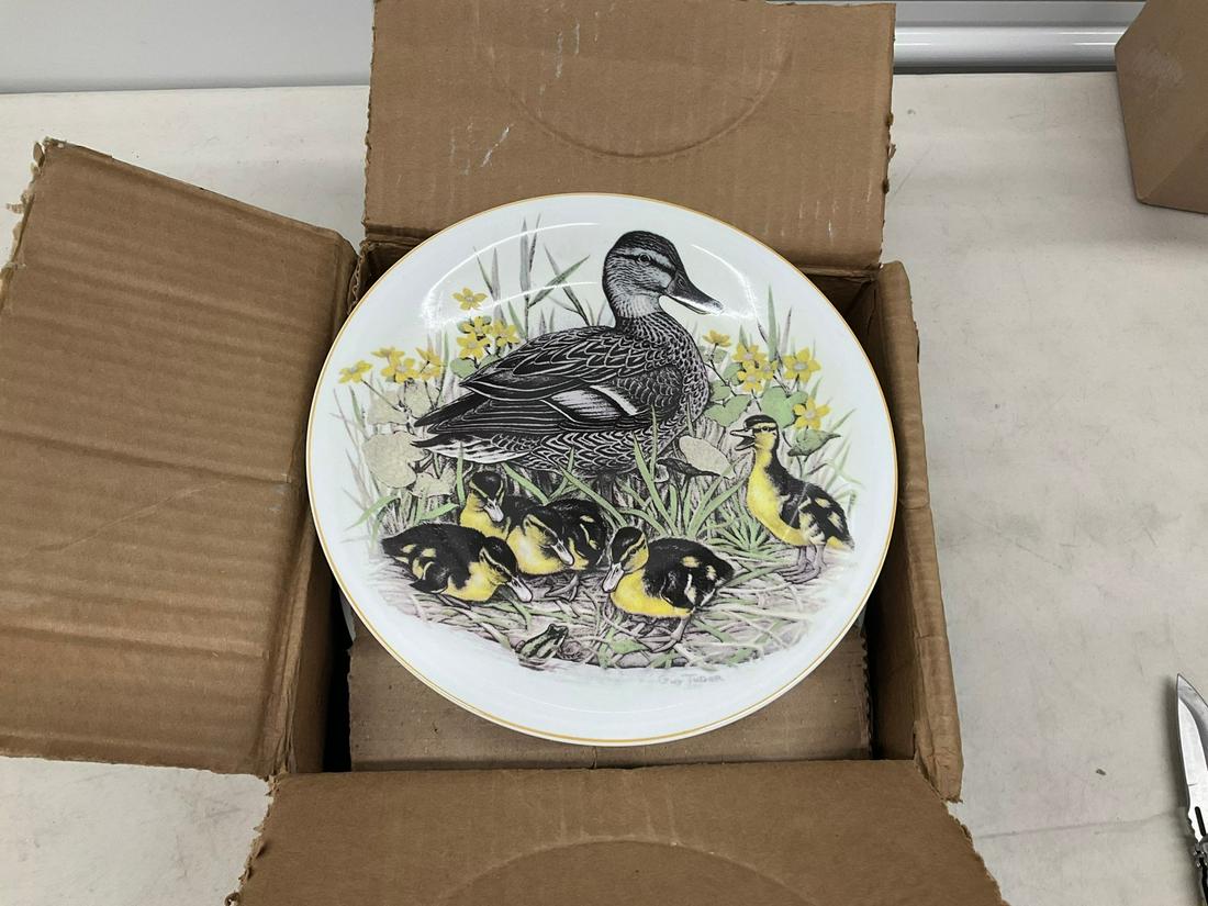 Lot of 12 Porcelana Schmidt wall plates: 10" across