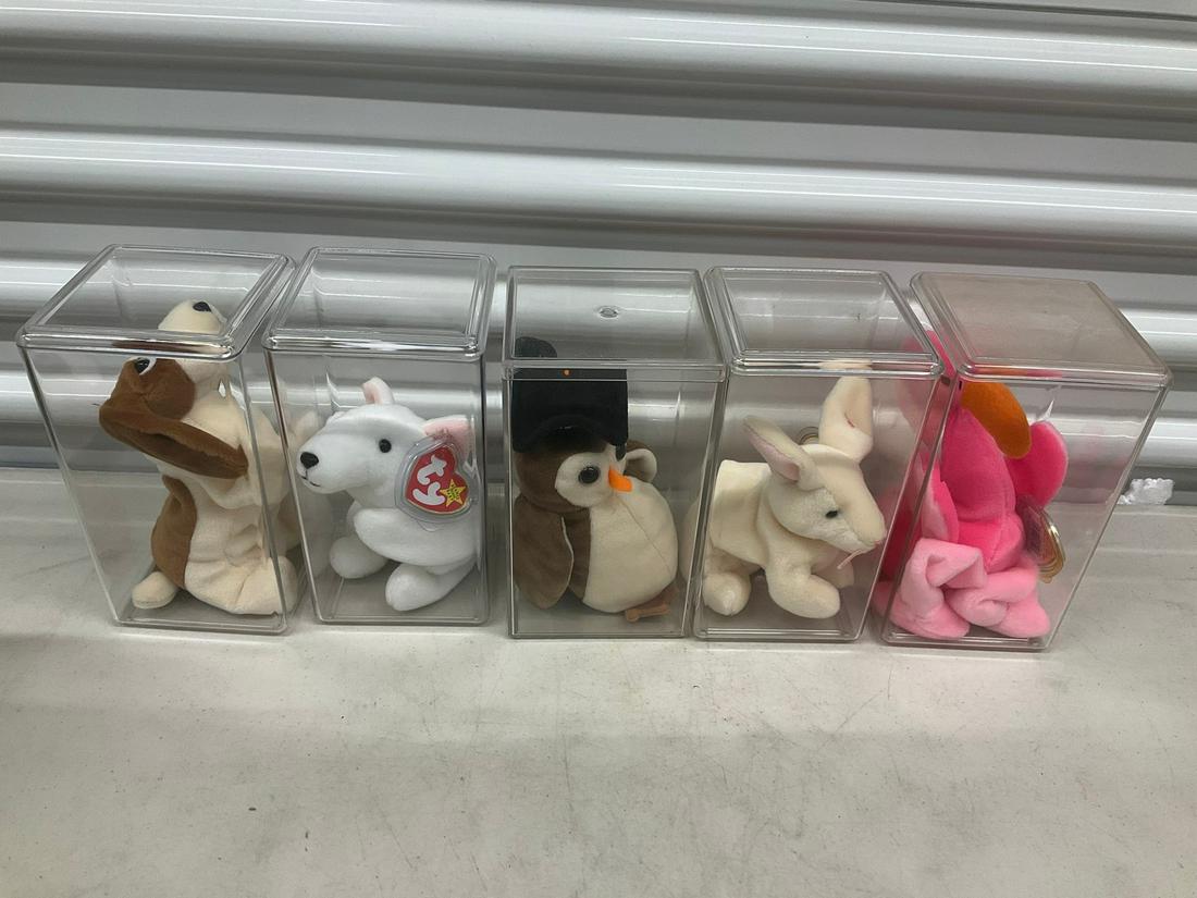 Lot of 5 beanie babies: Lot of 5 beanie babies