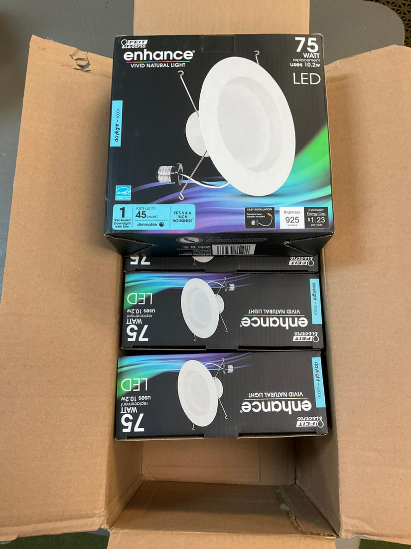 Lot of Felt Electronics 75 Watt Daylight LEDs: Lot of Felt Electronics 75 Watt Daylight LEDs