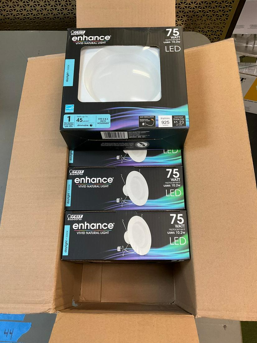 Lot of Felt Electronics 75 Watt Daylight LEDs: Lot of Felt Electronics 75 Watt Daylight LEDs