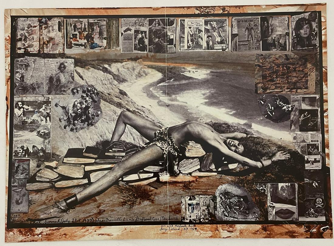 Peter Beard - Driftwood Cove: PETER BEARD (1938-2020) Driftwood Cove, Undated Print in Colors 20 1/4" x 14 1/2"