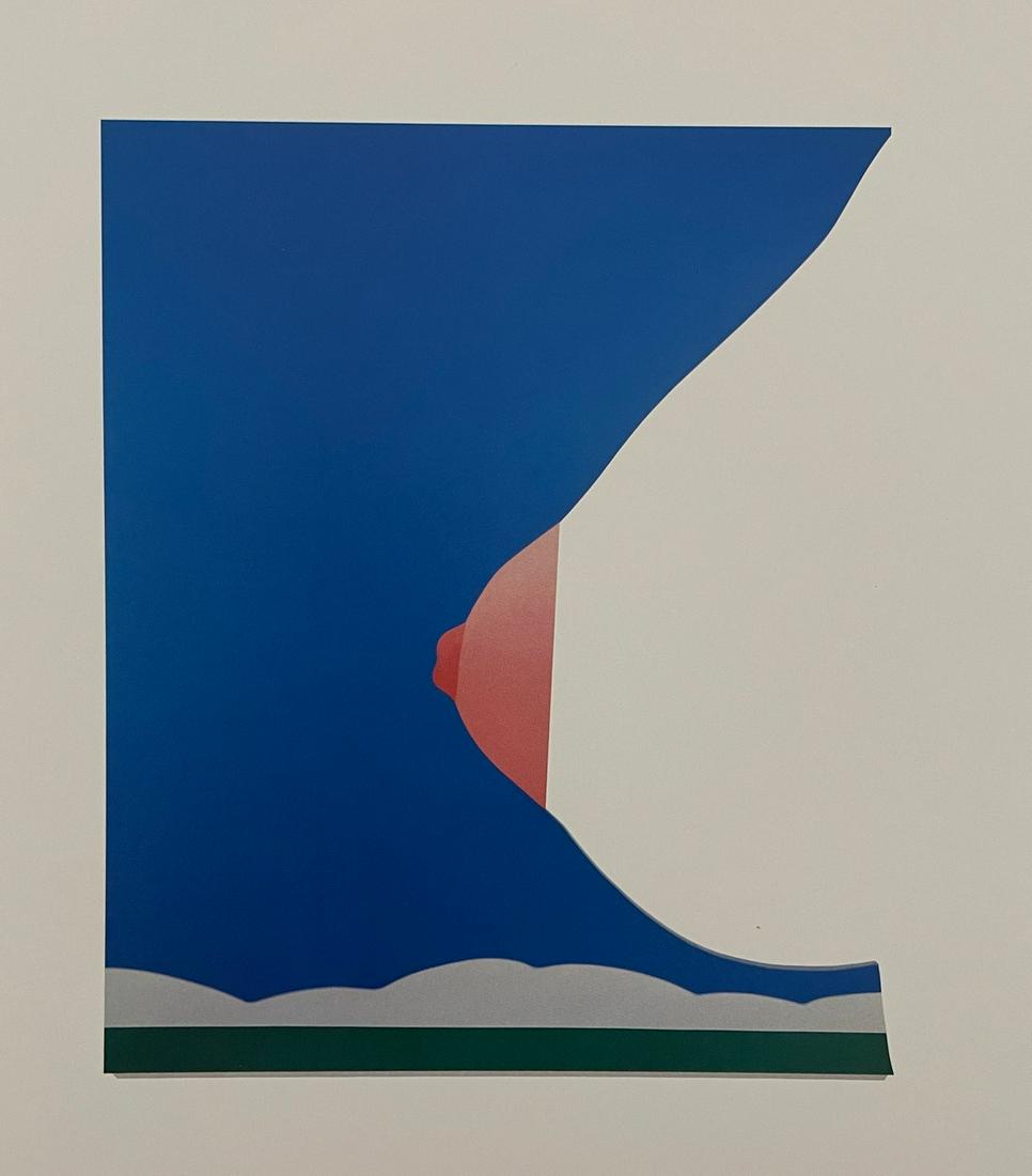 Tom Wesselmann - Seascape #19, 1967: TOM WESSELMANN (1931-2004) Seascape #19, 1967 Print in Colors 7" x 8"