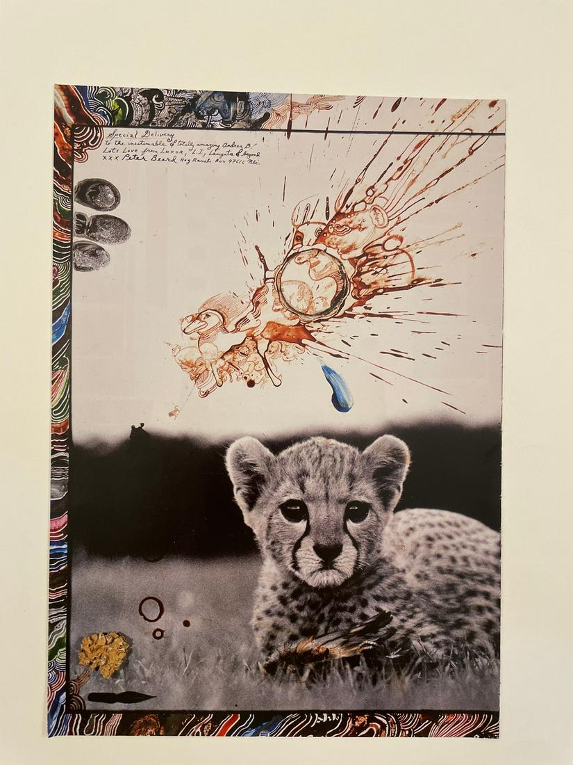 Peter Beard - Orphan Cheetah: PETER BEARD (1938-2020) Orphan Cheetah Print in Colors 8 1/2" x 12 1/2"