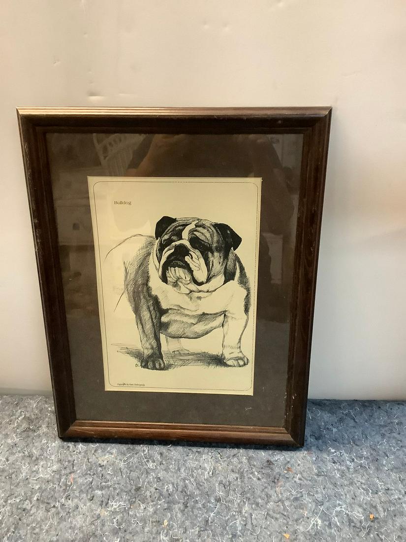 Framed Bulldog Picture 17.5x13.5: Framed Bulldog Picture 17.5x13.5