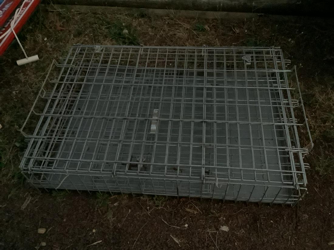 Large Dog Crate 34x25 (1 of 1)