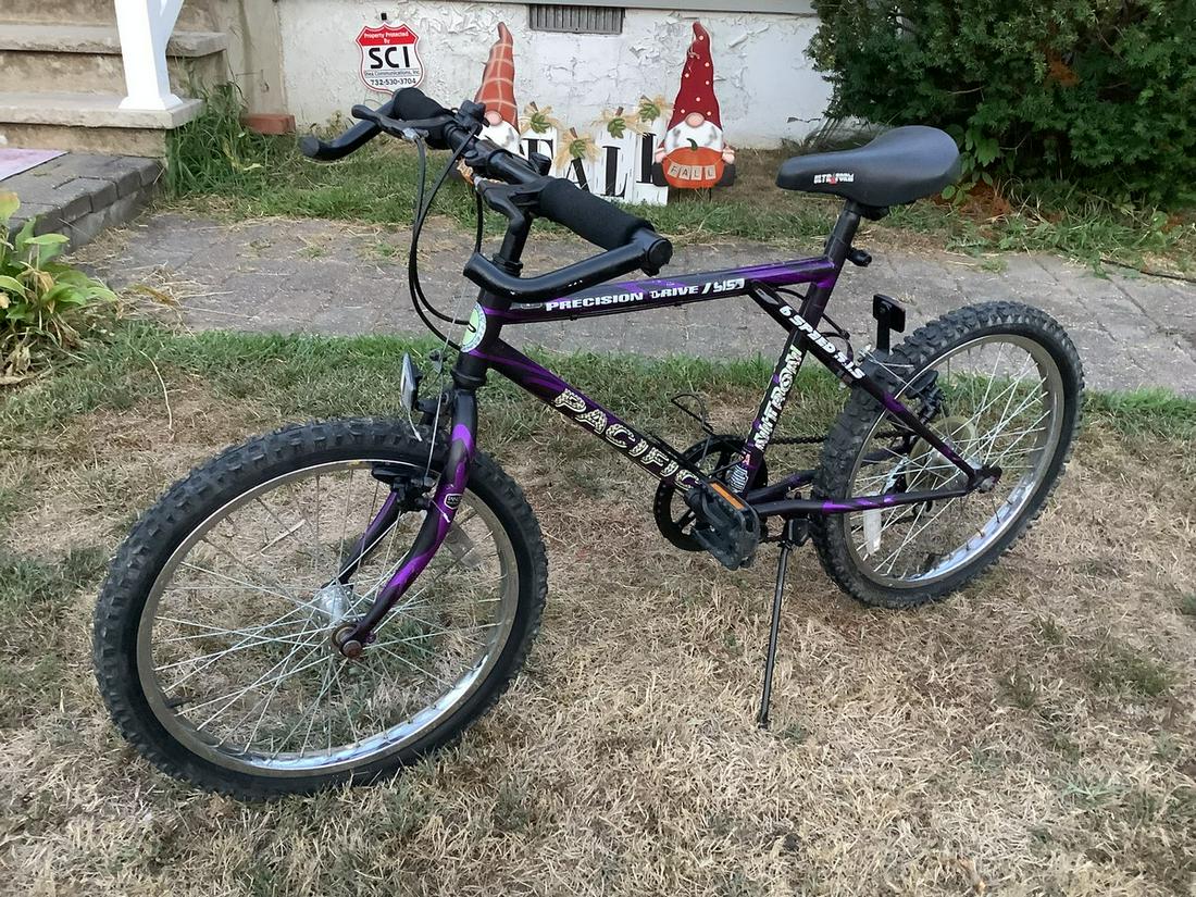 Pacific voyager store mountain bike