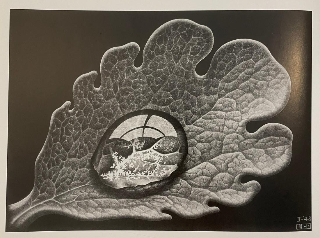 MC Escher - Dewdrop (1 of 1)