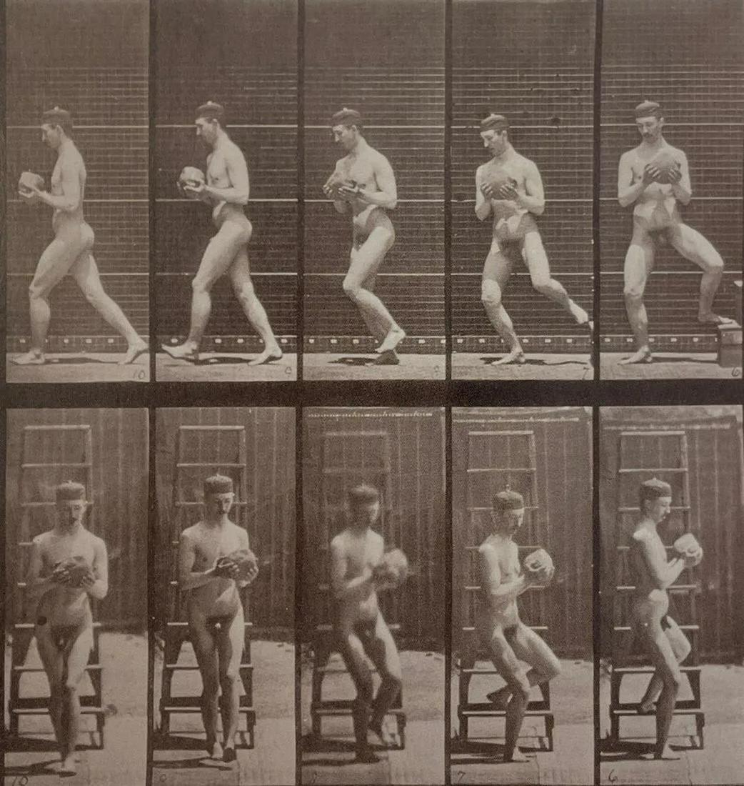 Eadweard Muybridge - Animal Locomotion, 1887 (1 of 1)