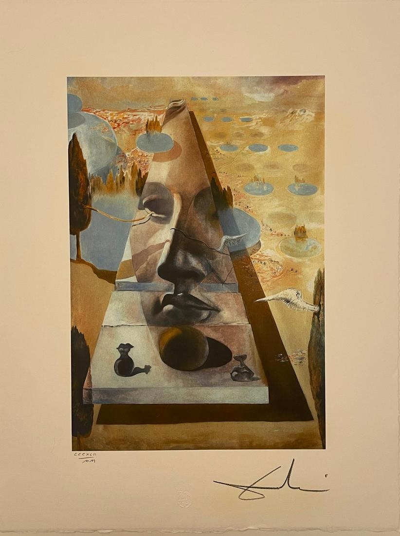 Salvador Dali - Hand Signed & Numbered - Lithograph (1 of 7)