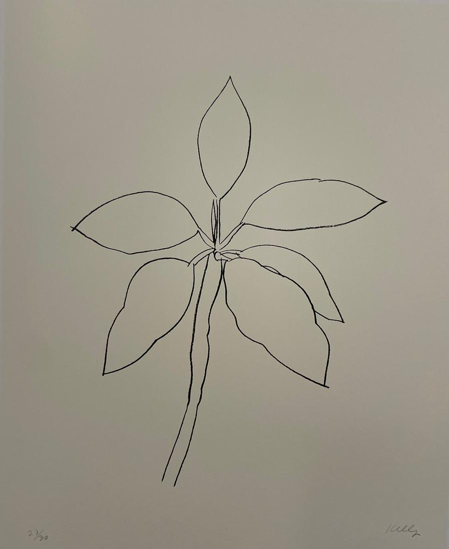Ellsworth Kelly - Tropical Plant, 1995 (1 of 1)