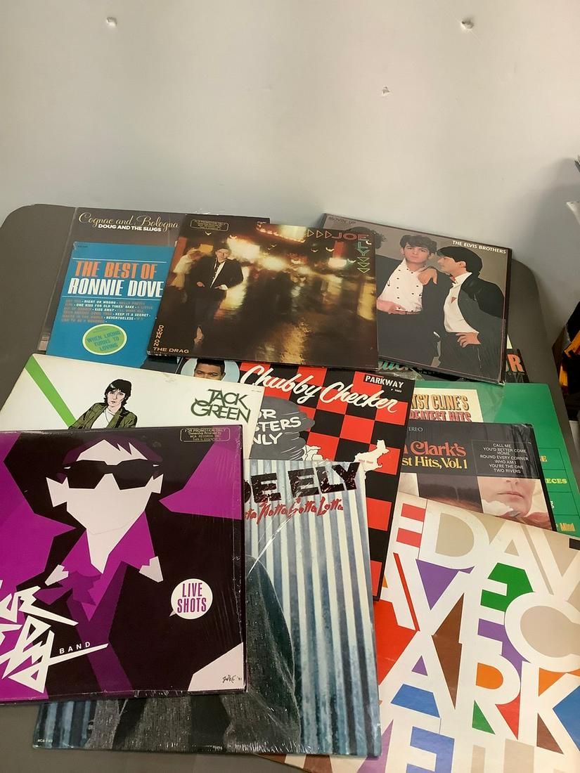 Lot of Albums including Chubby Checker, Joey Ely Band, Peula Clark and More (1 of 1)
