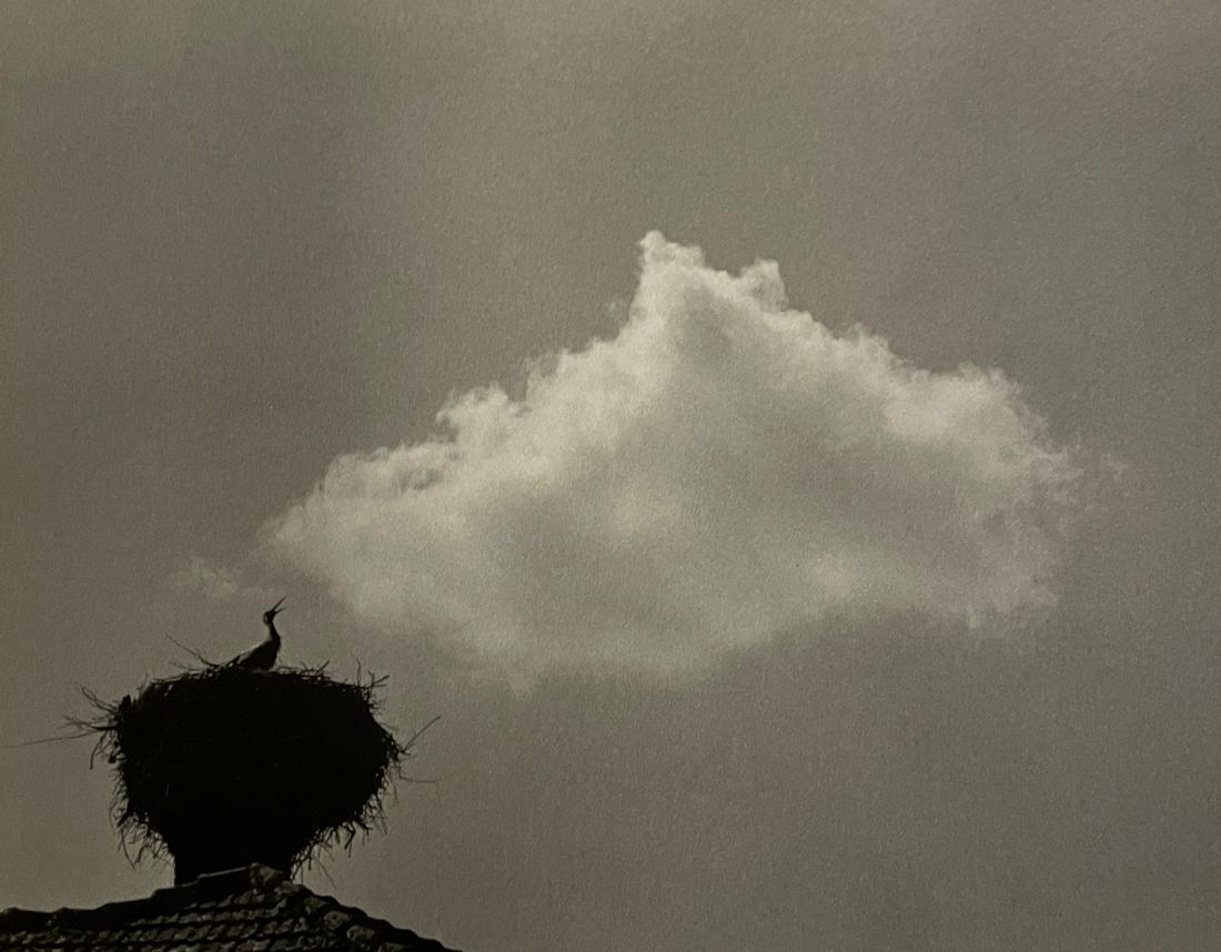 Andre Kertesz - Budapest, Hungary, 1984 (1 of 1)